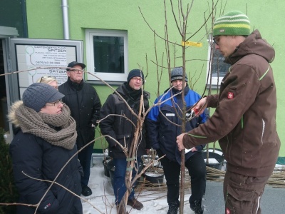 Obstbaumschnittkurs Th. Spitzer